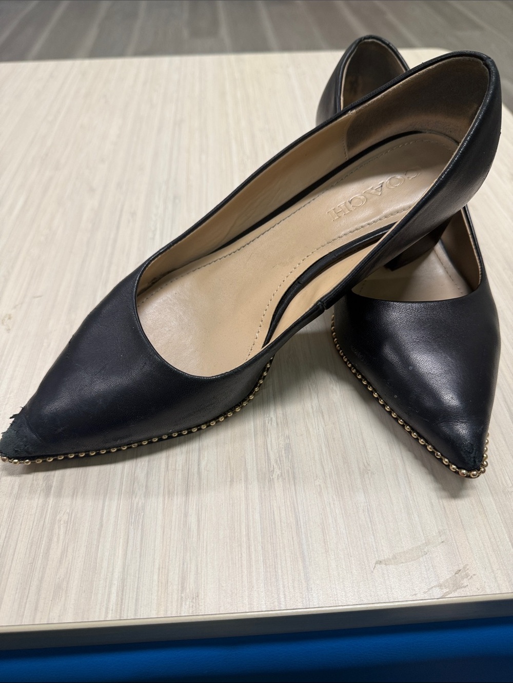 Coach Black Leather Pointed Toe Pumps with Gold Stud Trim